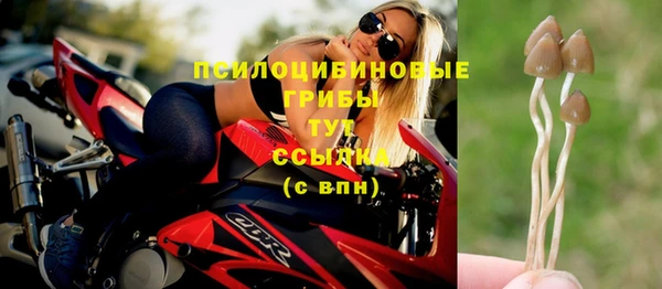 соль ск Горняк