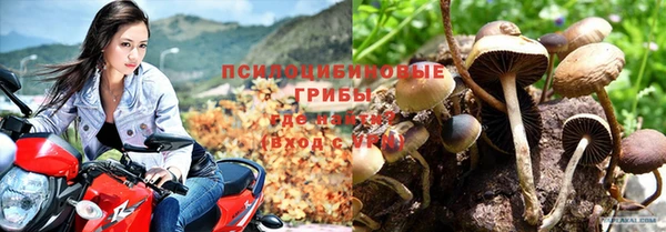 соль ск Горняк