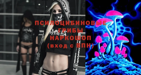 PSILOCYBIN Гусев