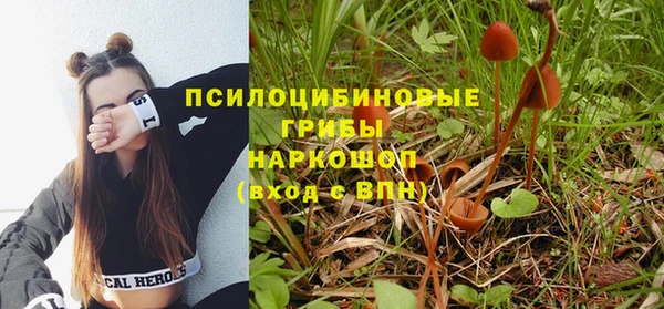 ECSTASY Горно-Алтайск