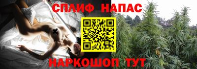 индика Бийск