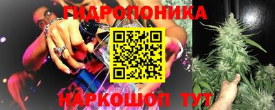 стаф Берёзовский