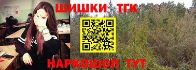 индика Бийск