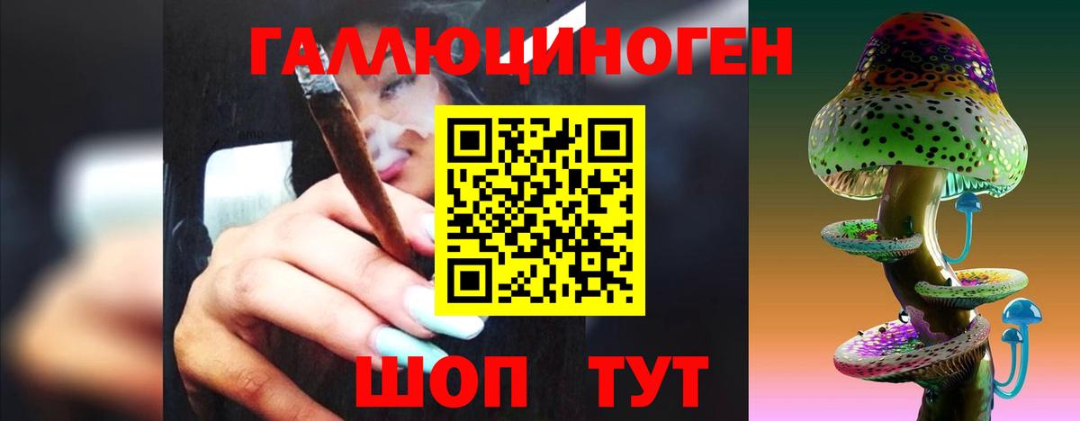 Псилоцибиновые грибы прущие грибы  где купить наркоту  Гулькевичи  Вход с VPN 